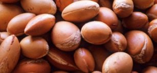 Olio di Argan, l'oro del Deserto!